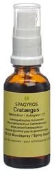 Spagyros Crataegus laevi Glyc Maz 1 D