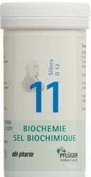 PFLÜGER Nr11 Silicea Tablette 12 D