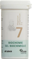 PFLÜGER Nr7 Magnesium phosphoricum Tablette 6 D