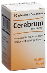 Cerebrum suis compositum Heel Tablette