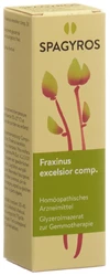 Spagyros Fraxinus excelsior Glyc Maz 1 D