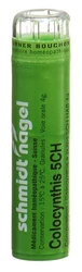 schmidt-nagel Colocynthis Granulat 5 CH
