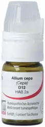 Omida Allium cepa Globuli 12 D mit Dosierhilfe