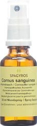 Spagyros Cornus sanguinea Glyc Maz 1 D