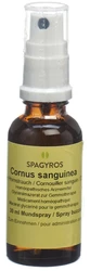 Spagyros Cornus sanguinea Glyc Maz 1 D