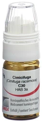 Omida Cimicifuga Globuli 30 C mit Dosierhilfe