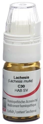 Omida Lachesis Globuli 30 C mit Dosierhilfe