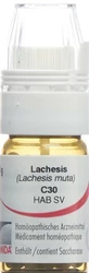 Omida Lachesis Globuli 30 C mit Dosierhilfe