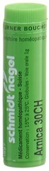 schmidt-nagel Arnica Globuli 30 CH