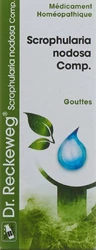 Dr. Reckeweg R17 Scrophularia nodosa Comp. Tropfen