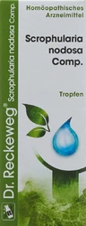 Dr. Reckeweg R17 Scrophularia nodosa Comp. Tropfen
