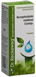 Dr. Reckeweg R17 Scrophularia nodosa Comp. Tropfen