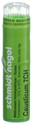 schmidt-nagel Causticum Granulat 7 CH