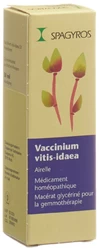 Spagyros Vaccinium vitis-idaea Glyc Maz 1 D