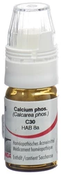 Omida Calcium phosphoricum Globuli 30 C mit Dosierhilfe