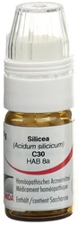 Omida Silicea Globuli 30 C mit Dosierhilfe