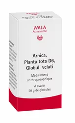 Wala Arnica e planta tota Globuli 6 D