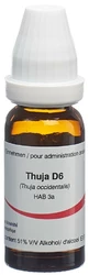 Omida Thuja Globuli 6 D