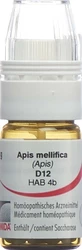 Omida apis mellifica glob 12 D avec doseur