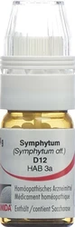 Omida Symphytum Globuli 12 D mit Dosierhilfe