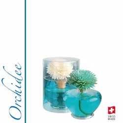 Essence of Nature Classic Sesbania Set Orchidee