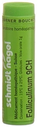 schmidt-nagel Folliculinum Globuli 9 CH