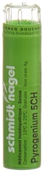 schmidt-nagel pyrogenium gran 5 CH