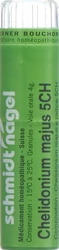 schmidt-nagel Chelidonium majus Granulat 5 CH
