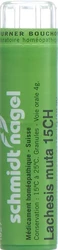 schmidt-nagel Lachesis muta Granulat 15 CH