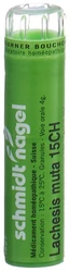 schmidt-nagel lachesis muta gran 15 CH