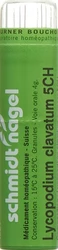 schmidt-nagel lycopodium clavatum gran 5 CH