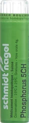 schmidt-nagel Phosphorus Granulat 5 CH