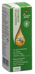 AromaSan Eukalyptus globulus Ätherisches Öl in Schachtel Bio