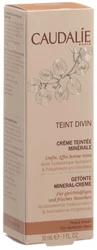 Caudalie Solaires Teint Divin Crème Teint Mates