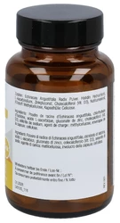 LIVSANE Immunsystem Kapsel