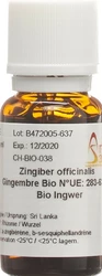 AromaSan Ingwer Ätherisches Öl Bio