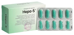 Hepa-S Kapel
