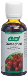 A. Vogel Crataegisan Crtegisn Tropfen Bioforce