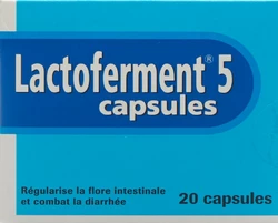 Lactoferment Kapsel