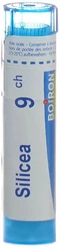 Boiron Silicea Granulat 9 CH