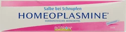 Homeoplasmine Nasensalbe