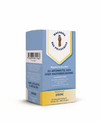 Magnesia San Pellegrino Brause Plv Zitrone