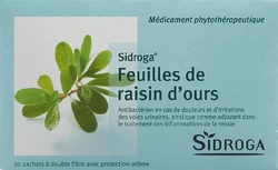 Sidroga Bärentraubenblätter