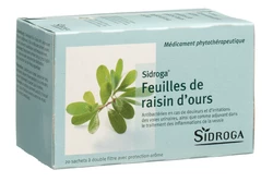 Sidroga Bärentraubenblätter
