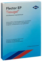 Flector EP Tissugel Pfl