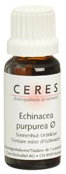 Ceres Echinacea purpurea Urtinkt