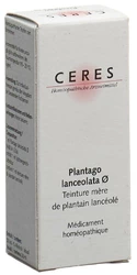 Ceres Plantago lanceolata Urtinkt