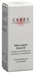 Ceres Ribes nigrum folium Urtinkt