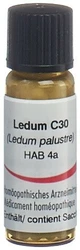 Omida Ledum Globuli 30 C