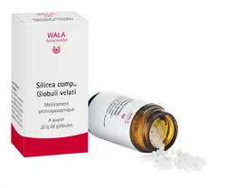 Wala Silicea comp. Globuli